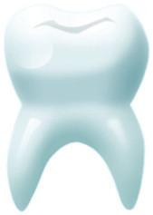 6 enamel surface. It helps maintain the health of waste, and is the first line of defense nance of oral health.