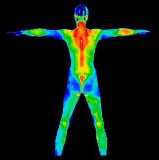 ABSTRACT Testing the effects of the 8ight Relief Holographic Disc on pain areas using Thermal Imaging Investigators: HealthWalk thermal imaging specialist trained by Duke University Test Subjects: