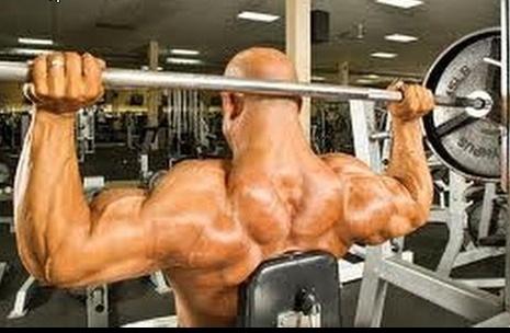 Exercise 3: Shoulder Press 4 sets of 20 repeats using a barbell or dumbbells - 10 press-ups that have the bar resting behind the neck and - 10