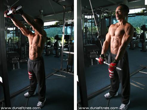 Exercise 4: Straight Arm Pushdowns Using light weights to start with, complete 4 sets of 25 repetitions with minimal rest periods in between each set. As you get stronger, increase the weight load.