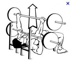 Exercise 5: Bench Press The fifth and final exercise requires 4 sets of 15 reps.