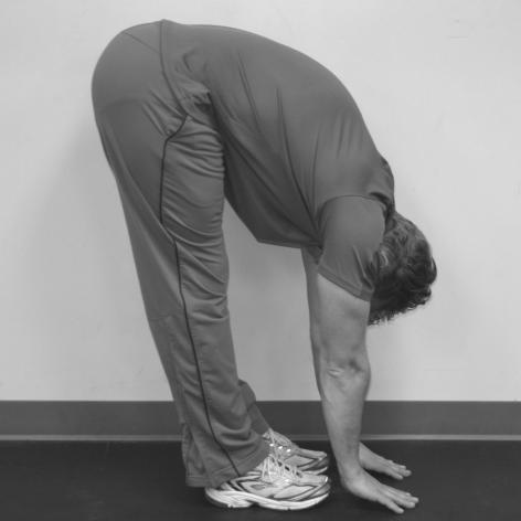 Spinal Forward Flexion With knees straight, slowly bend forward and