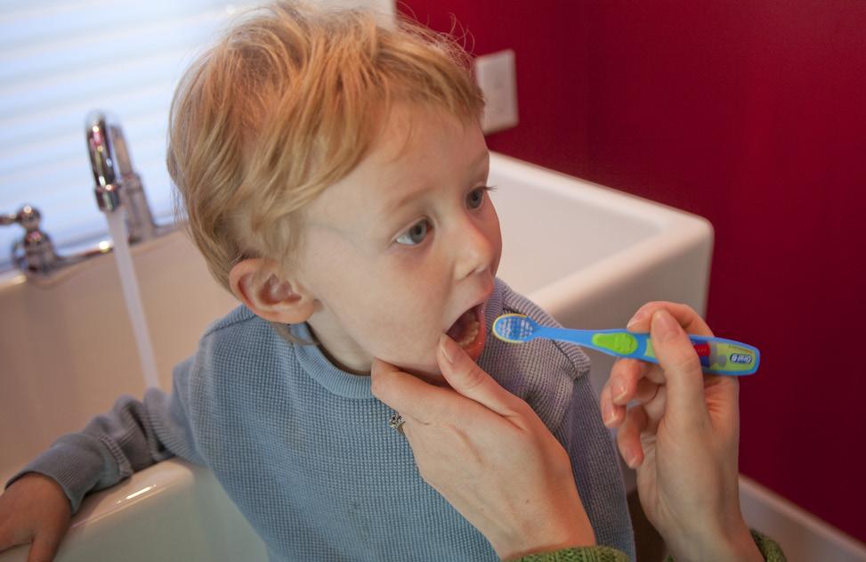 Basic 4 Brush, Floss, Swish For the COMPLETE version of Basic 4 go to page 73 in HV Guide Goals Big Bites Key information to share with families: Everyone should brush their teeth for two minutes,