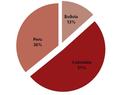 Coca in the Andean region Coca cultivation, 2008 (167,600 ha) 81,000 ha