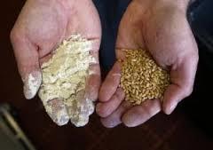 What is a miller? Milling is among the oldest of human occupations. A miller is a person who operates a mill to grind grain into fine or powdery foodstuffs that are easier to consume and digest.