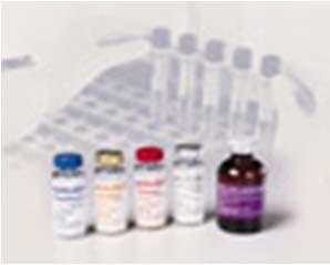 HPLC Chromatograph Drug Susceptibility Testing Set up