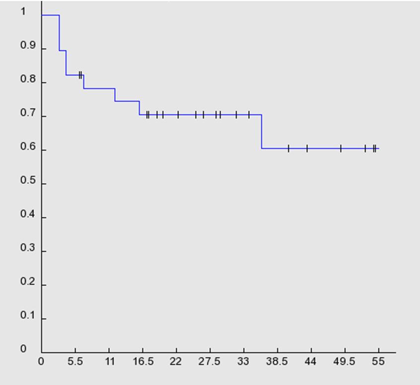 Arterial stiffness and NT-proBNP changes following TEVAR Kaplan Meier survival curve estimate TEVAR Group, N=27, Baseline Characteristics Variable Mean ± SD or n (%) Age (years) 68.8 ± 11.