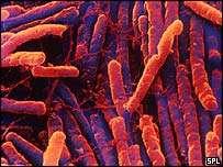 CDC. Fact Sheet 2010 Clostridium difficile: Microbiology Colonizer in 2-3% of healthy adults 70% of infants Toxin release responsible for mucosal inflammation