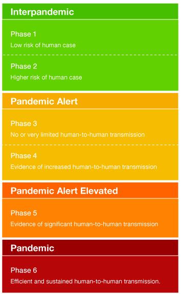 ph1n1 2009 pandemic influenza First positive test in Mexico March 28 th April 26 th first Canadian cases May 20 th 10 000 cases worldwide June 11 th WHO declared a pandemic (level 6): evidence of