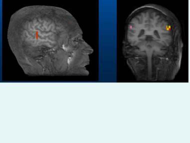 temporal cortex appear sensitive to biological motion Oram & Perrett, J. Cog. Neurosci.
