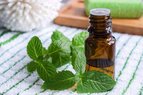 8.) Peppermint Oil A refreshing and uplifting oil, peppermint helps to reduce mental and physical fatigue while also improving concentration.