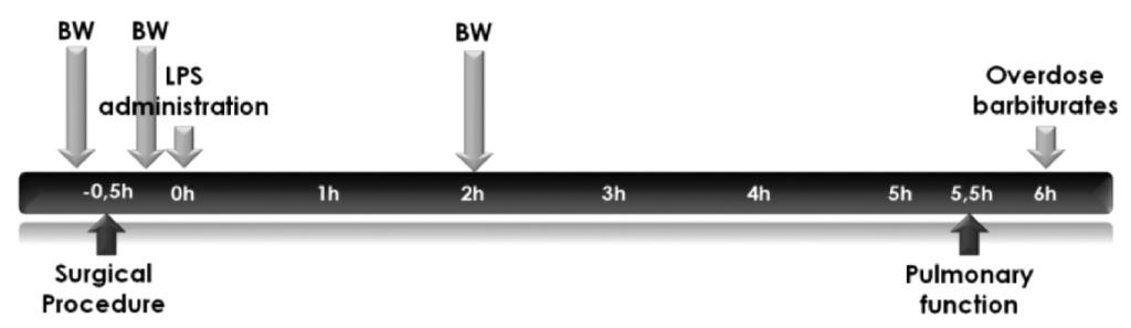 PART III Figure 1. Time schedule experimental protocols Legend: BW = Blood withdrawal.