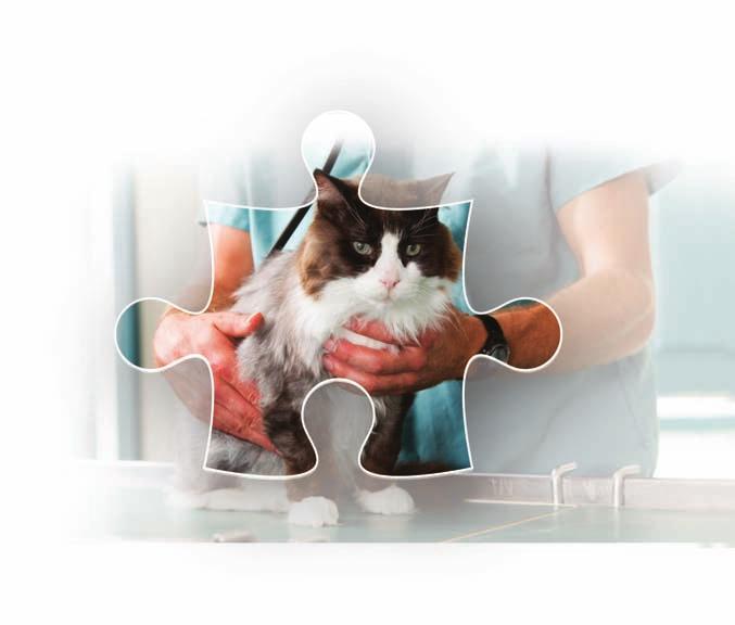 How is hyperthyroidism diagnosed? 04 Your vet will take a thorough history and perform a full clinical examination.