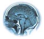 Primary Brain Tumors: Who Cares?