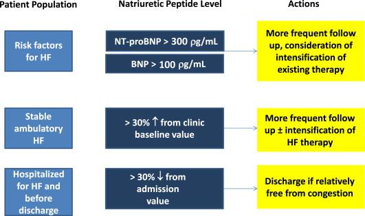Figure 3 BNP and management of HF