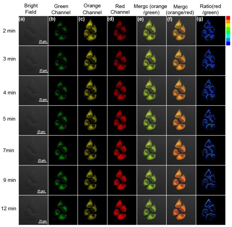 4 3 Ratio red/green 2 1 Cys+probe probe NEM+probe control Figure S28. Fluorescence intensity ratios (Ι red /Ι green ) in panels. Data are expressed as mean ± SD of three parallel experiments.