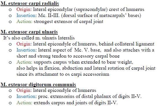 Practical Task 8: Carpal