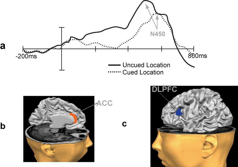 CHAPTER 2 MECHANISMS OF EXOGENOUS INHIBITION OF RETURN left dorsal lateral prefrontal cortex (DLPFC) was associated with the response conflict [uncued (IE-II) -cued (IE-II) ] [85]. Figure 2.