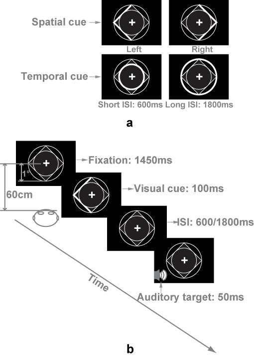 CHAPTER 3 MODULATION OF AUDITORY PROCESSING BY SPATIAL OR TEMPORAL CUE Figure 3.1 Illustration of experimental procedure.