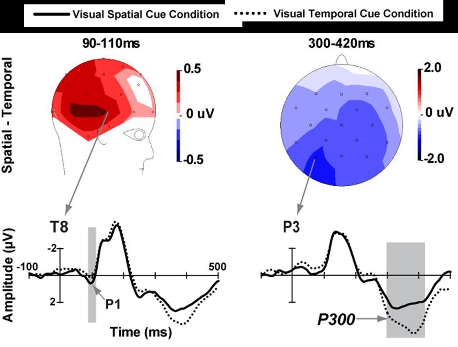 CHAPTER 3 MODULATION OF AUDITORY PROCESSING BY SPATIAL OR TEMPORAL CUE P3 electrode. a b Figure 3.3 The scalp topographies of VSC condition minus VTC condition are shown on the left.