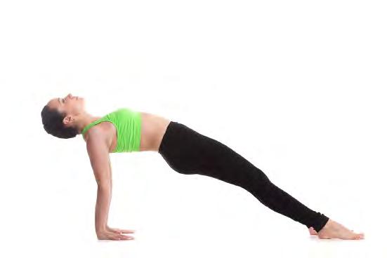 PURVOTTANASANA Upward Plank Pose Very similar to Upward Facing Dog, the Upward Plank Pose helps to lengthen and mobilize the musculature around your chest and shoulders, with the additional benefit