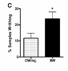 Figure 4A: Mean paw-withdrawal latencies Figure 4B: Average change in pawwithdrawal latencies 23 Results: PWT Concurrent thermal pain testing did not abolish the BW/OW increase