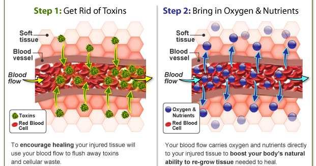 Blood Detox (To remove Toxin from blood stream) An average adult has approximately 5 liters of blood in the body that supplies continuous oxygen and nutrient to the cells and tissue as well as remove