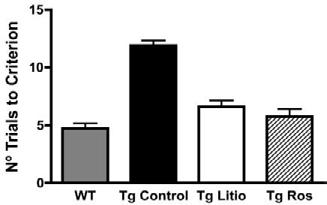 Lithium and Rosiglitazone (RGZ) improve Flexibility Memory (Episodic-like memory) in double APP+PS-1 transgenic mice Double Transgenic mouse APPswe + PSEN1D E9 day 1 Tg Control day2 Tg
