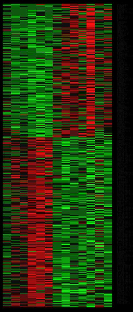 genes turned off CREB/PKA NFkB Inflammation MMP9