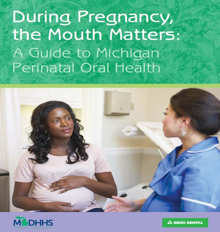 Putting the Plan into Action Michigan Perinatal Guidelines for health professionals released earlier this year Developing educational opportunities for medical, dental,