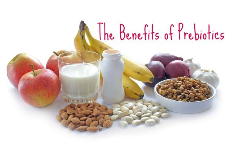 Prebiotics Enhance probiotic growth Increase antimicrobial production https://www.thehealthyhomeeconomist.