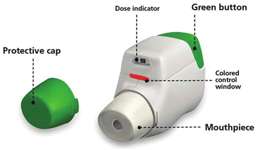 Therapeutic Advances in Respiratory Disease 6 (6) Figure 1. General design and features of the Genuair /Pressair TM * multidose dry powder inhaler.