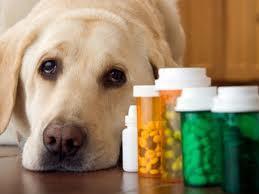 59 billion in 2012 Increasing sale of pet medications by large retailers (Kroger, Target, etc.