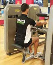 6. Seated Row (Horizontal Pull) Target Muscles: latissimus dorsi, biceps brachii This is known as a back pulling exercise and is performed on a