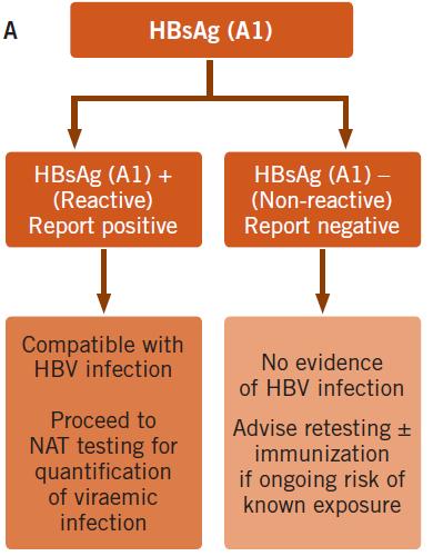 How to test for chronic HBV infection (A)