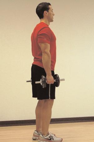 Dumbbell Bent Over Reverse Flys - Complete 15 reps lasting 40 seconds.
