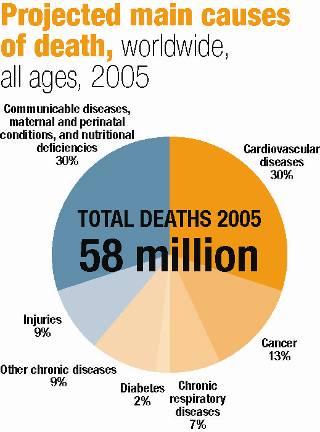 Chronic Non-communicable Diseases-NCD Cardiovascular disease, mainly