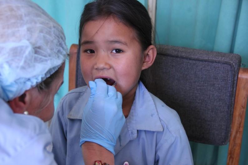 remote outreach centres to carry out emergency dental treatment, and to rural schools to educate the children and
