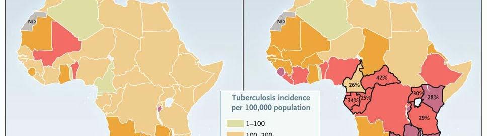 Estimated Incidence of TB per 100,000 Population