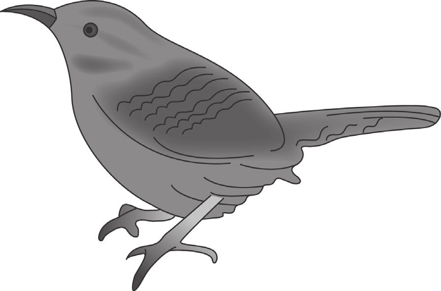 09 Figure 9.1 shows a type of bird called a St Kilda wren. Figure 9.1 St Kilda wrens live on the island of St Kilda off the north coast of Scotland.
