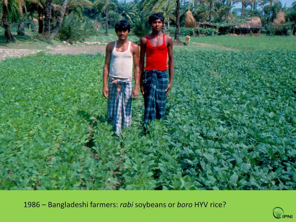 During my time as an agronomist in Bangladesh in the late 1980s, I personally witnessed the growth of cereal production.