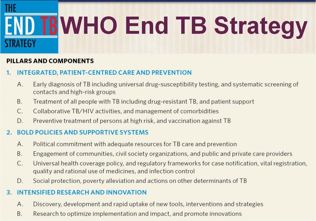 WHO End TB