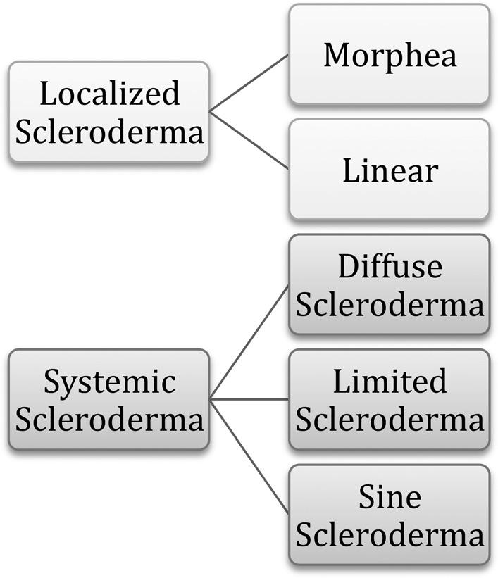 Figure 1. Classifications with subclasses of scleroderma. 2014). Localized scleroderma can be classified into two groups: morphea and linear scleroderma.