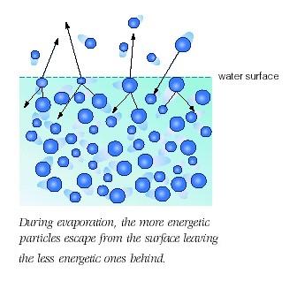 Water has a great capacity to absorb and retain