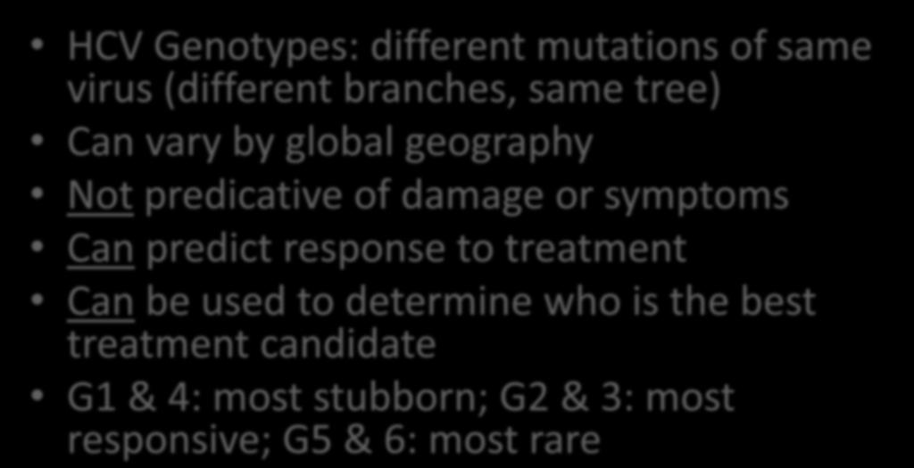 Viral Hepatitis HCV Genotypes: different mutations of same virus (different branches, same tree) Can vary by global geography Not predicative of damage or