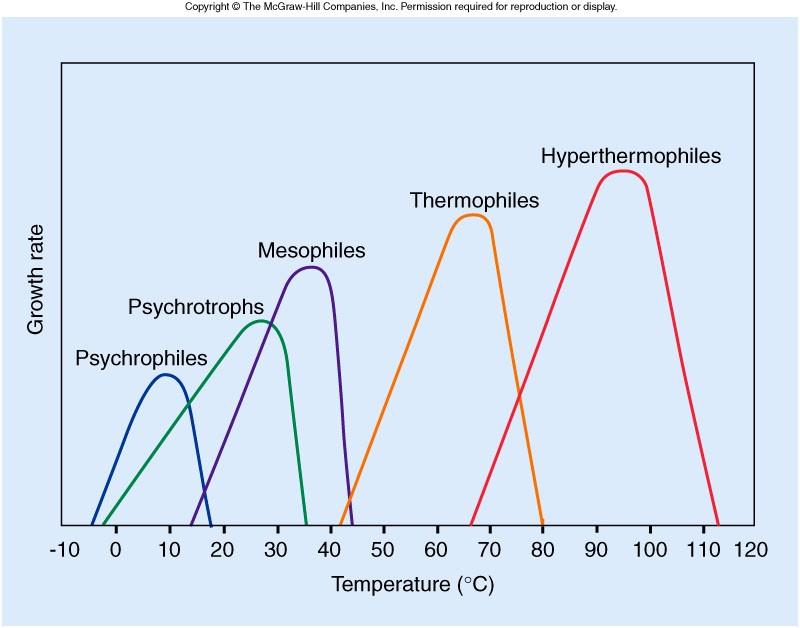 Temperature Psychrophile 0 o to 18 o C Psychrotroph 20 C to 30 C Important in food spoilage Mesophile 25 C to 45 C More common Disease causing Thermophiles 45 C to 70 C Common in hot springs