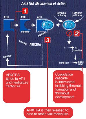 Indirect Factor Xa Inhibitors Arixtra (fondaparinux) Synthetic version of