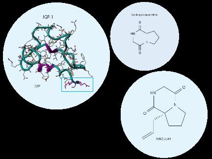 Second drug candidate: NNZ-2591 Cyclic dipeptide with higher oral bioavailability, improved stability and potential for oral solid dosage form Demonstrated