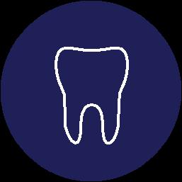 Dental Benefit Summary San Jose State University Research Foundation Effective Date: January 01, 2019 Policy Number: 004201 Class Definition: Class 1: All Active Full Time Employees working at least