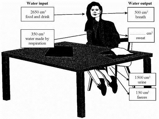 gland X; hormone Y. Give two effects of the hormone oestrogen on gland X. 1. 2. (Total 6 marks) Q35. The diagram shows a water balance for a girl who spends most of the day working at a desk.